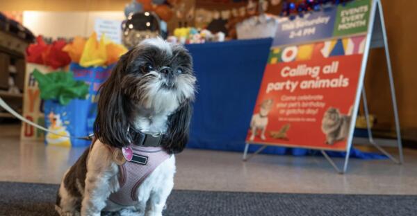 FREE Birthday or Gotcha Bash for Your Pet at PetSmart!