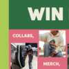 Sip, Celebrate & Win – Jarritos 75th Sweepstakes!