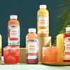 Gut-Friendly & FREE – JuneShine Kombucha!