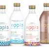 Pour on the Goodness! Free Ripple Dairy-Free Half & Half – After Rebate!