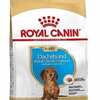 Claim your Free Royal Canin Dachshund Chatterbox Kit