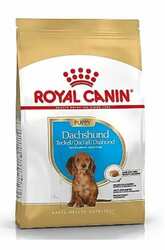 Claim your Free Royal Canin Dachshund Chatterbox Kit