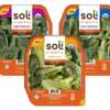 Dress Up Your Diet with a Free Soli Organic Salad Mix!