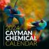 2024 Cayman Calendar for Free