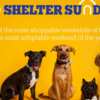 Dog Adoption with Pedigree Shelter Sunday for Free