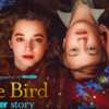 Enjoy the Magic of Cinema with 2 Free Tickets to White Bird!