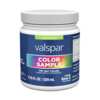 Start Your Next Project with a FREE Valspar Paint Sample!