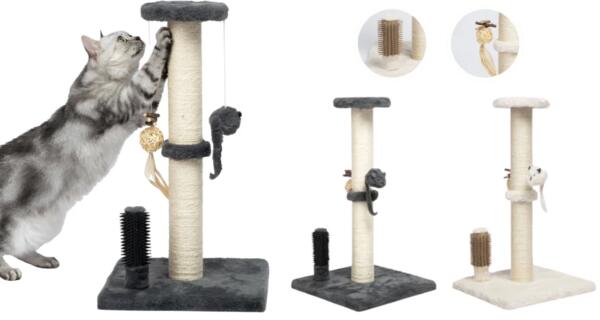 Don’t Miss Out — Free Catify Climb ’n’ Scratch Post!