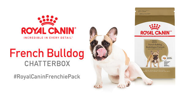 Get a Royal Canin® French Bulldog Chatterbox For Free!