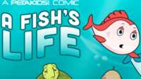 A Fish's Life Stickers for Free