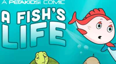 A Fish's Life Stickers for Free