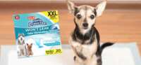 Free Hartz Home Protection Odor Eliminating Dog Pads