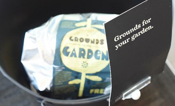 Free Starbucks Coffee Grounds For Gardeners