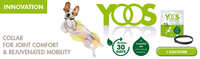 Free YOOS Essential Oil Dog Collar