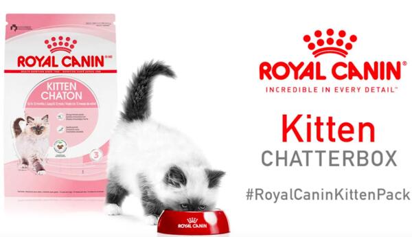 Royal Canin Kitten Chatterbox for Free