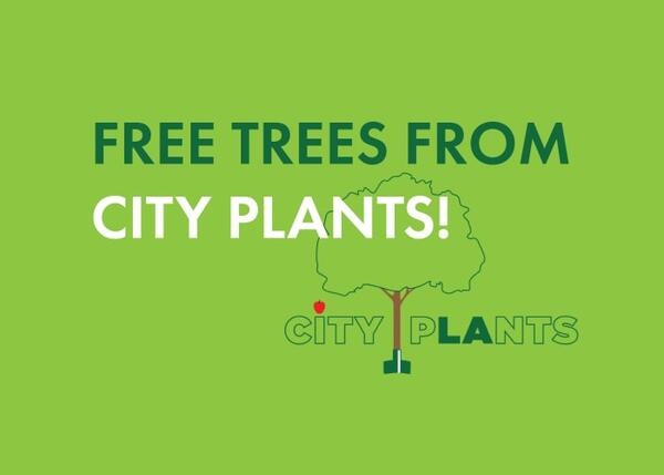 Trees For Your Street for Free