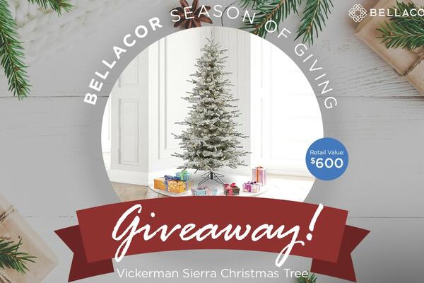 Bellacor Vickerman Sierra Christmas Tree Sweepstakes