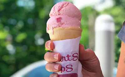 Single Scoop Cone for Free at Stewart's Shops!!