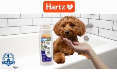 Hartz Triple Active Flea & Tick Dog Shampoo for Free