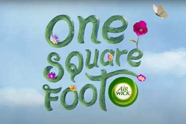The One Square Foot Movement Seeds Giveaway