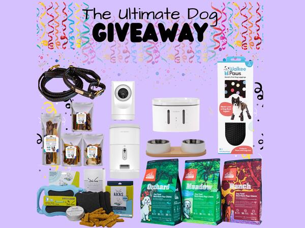 Ultimate Biggest Giveaway For Dogs