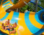 Free Preschool Pass at Busch Gardens Williamsburg and Water Country!