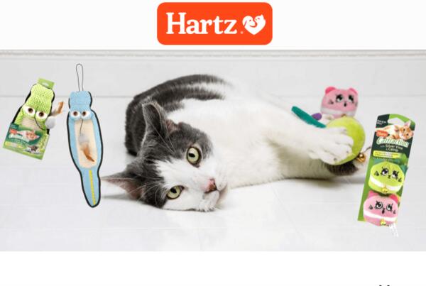 Hartz Cattraction Cat Toys for Free