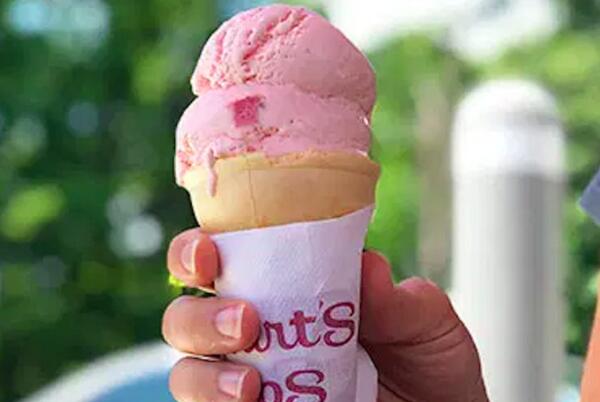 Single Scoop Cone for Free at Stewart's Shops