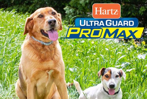 Hartz UltraGuard ProMAX Flea & Tick Collar for Dogs for Free