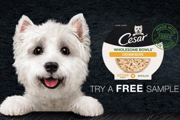 Cesar Wholesome Bowls Sample for Free