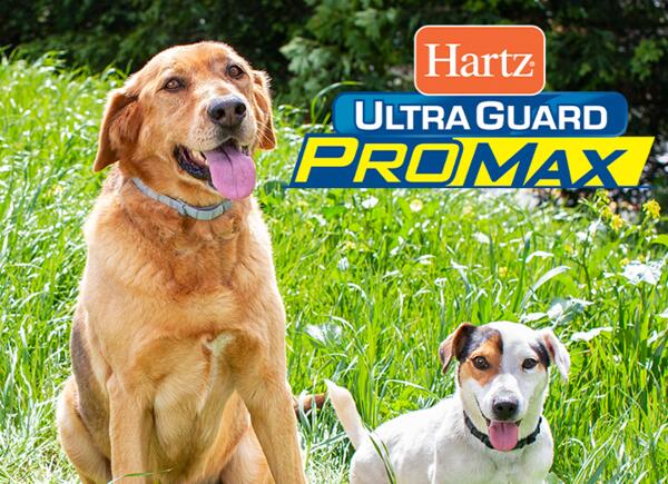 Hartz UltraGuard ProMax Flea & Tick Collar for Free