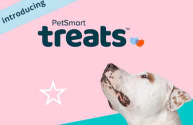 PetSmart Treats - Birthday Surprise for Free for Your Pet
