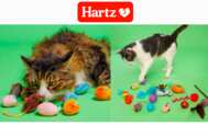 Hartz Cattraction Silver Vine & Catnip Cat Toys for Free