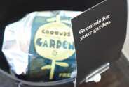 Coffee Grounds for Your Garden for Free at Starbucks