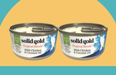 Free Cat Food from Solid Gold